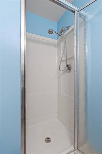 Walk-in shower in ensuite bath.