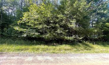 Lot 31 Cindy Ln, Union City, PA 16438, ,Farm-acreage-lot,For Sale,Cindy Ln,1708114