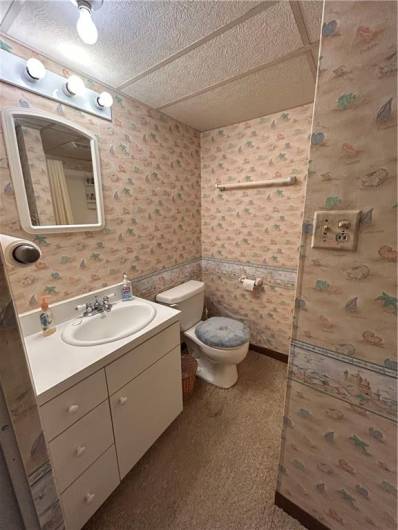 Basement bath