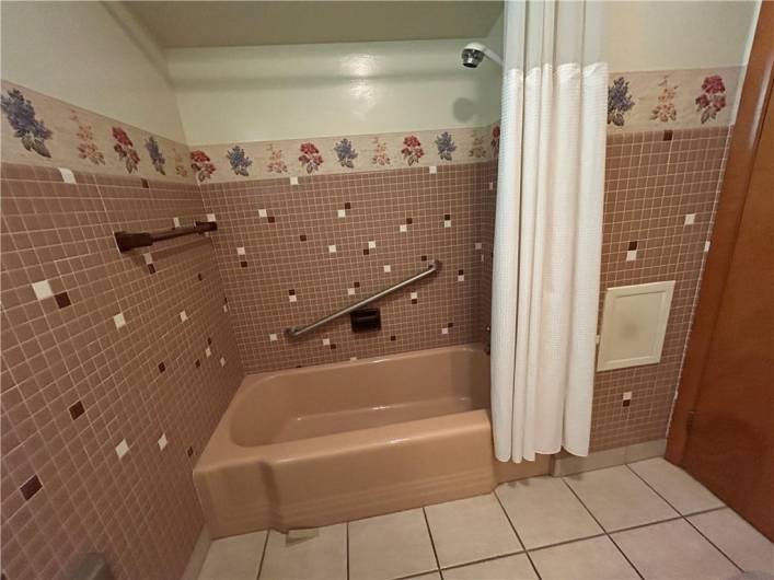 Main floor bath