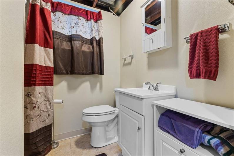 Downstairs bathroom with Walk-in shower
