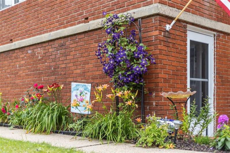 Beautiful blooming flowers in the front of the house