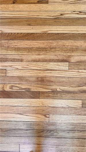 Well maintained hardwood floors