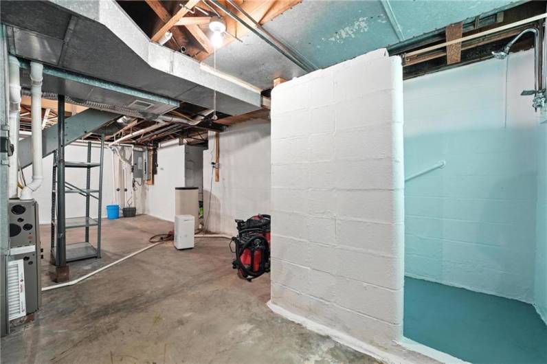 shower in basement