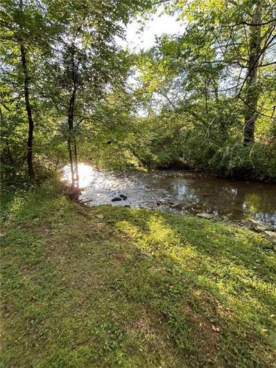 Small stream in backyard