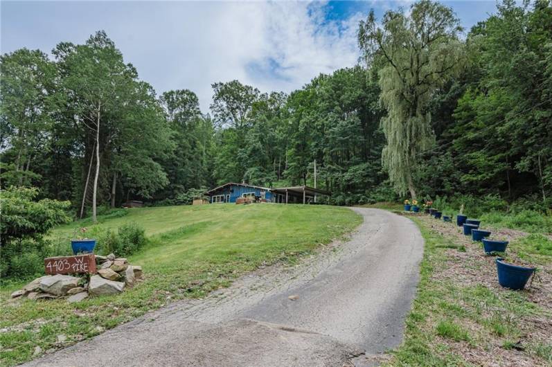 Driveway