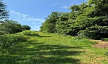 Parcel E Paulownia Dr, Leechburg, PA 15656, ,Farm-acreage-lot,For Sale,Paulownia Dr,1709955