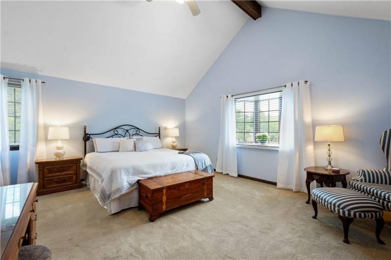 Vaulted ceiling and lots of light!