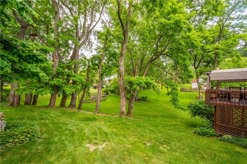 Imagine having a park-like backyard!