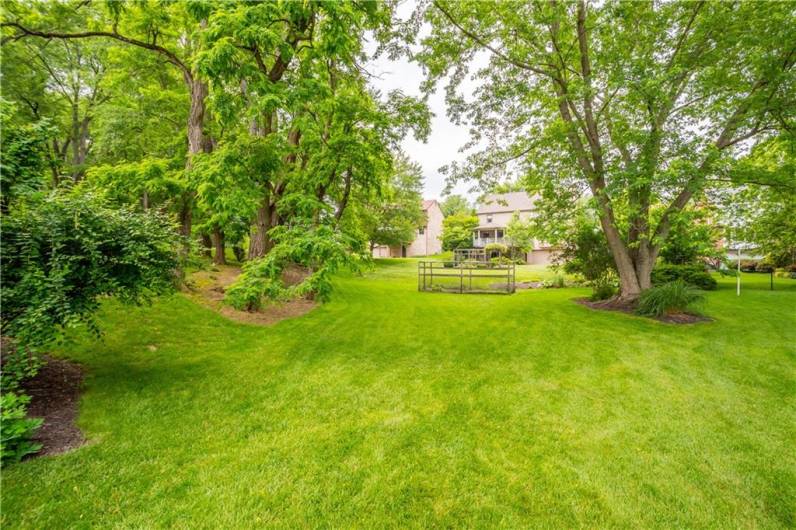 Green, green, and more green! Level back yard, a garden space ready for the new owner, and peace and quiet!