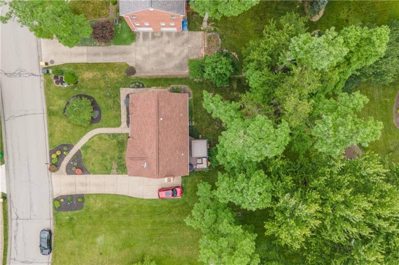 Aerial view of 1193 Airedale