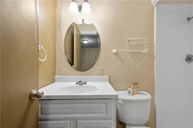 Lower level full bath
