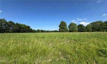 11.61 acres Stateline Rd, Bessemer, PA 16112, ,Farm-acreage-lot,For Sale,Stateline Rd,1711176