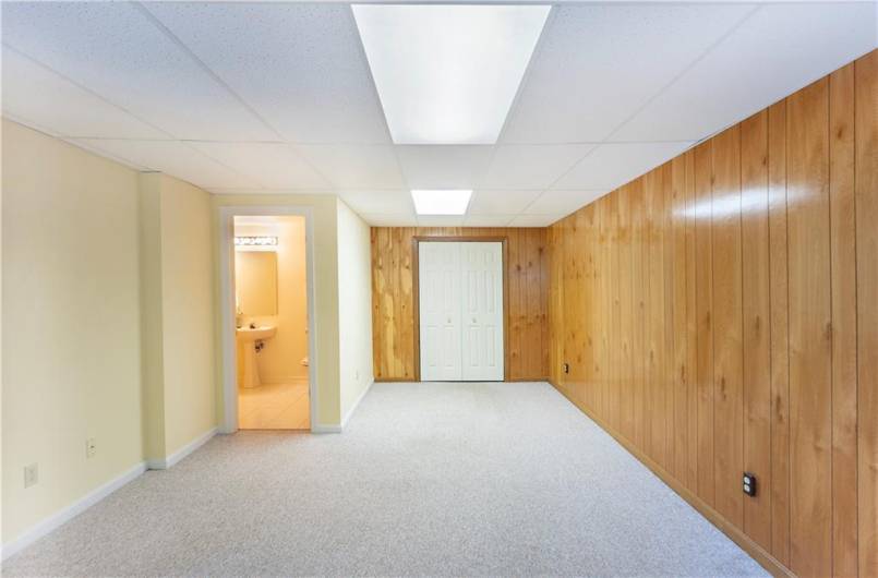 Lower level bedroom or den.