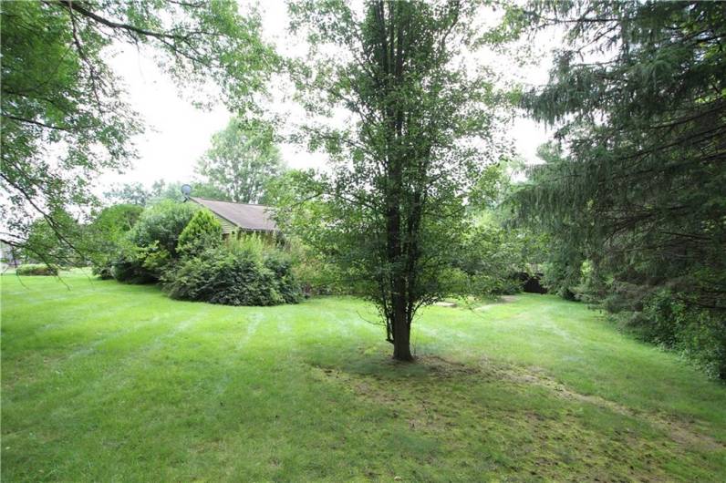 So much Room to have a Garden, Pool or Play!