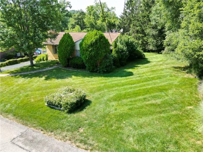 Aerial View of Side Yard