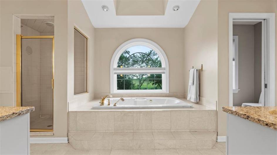 Ahhh, enjoy the view from this Jetted tub.