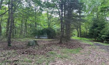 807 Branchton Rd, Boyers, PA 16020, ,Farm-acreage-lot,For Sale,Branchton Rd,1710952