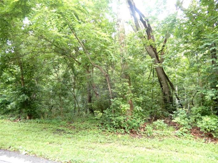 Lot 1 Canterbury Lane