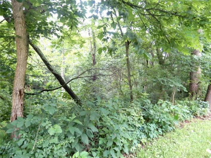 Lot 1 Canterbury Lane
