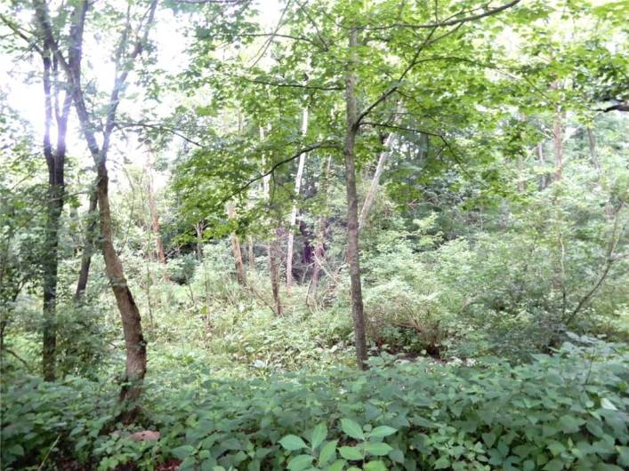 Lot 1 Canterbury Lane