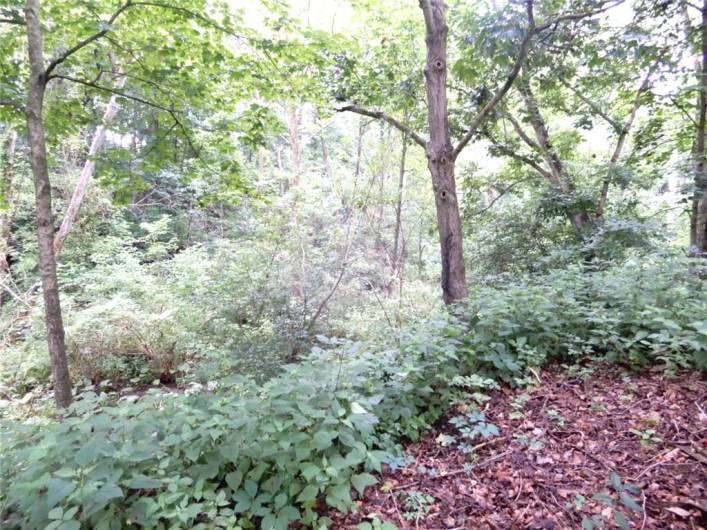Lot 1 Canterbury Lane