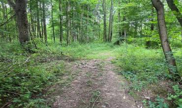 3+ /- Acres on 3+ /- Acres on PHELPS Road, Linesville, PA 16424, ,Farm-acreage-lot,For Sale,3+ /- Acres on PHELPS Road,1711632