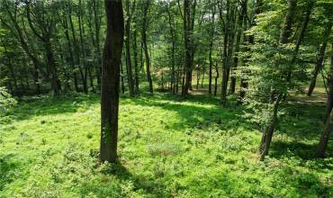 805 Mount Pleasant Rd, Mars, PA 16046, ,Farm-acreage-lot,For Sale,Mount Pleasant Rd,1711645