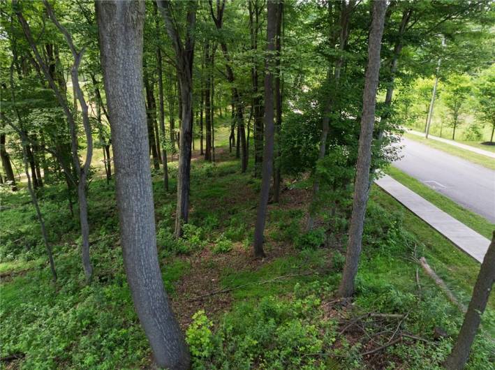 805 Mount Pleasant Rd, Mars, PA 16046, ,Farm-acreage-lot,For Sale,Mount Pleasant Rd,1711645