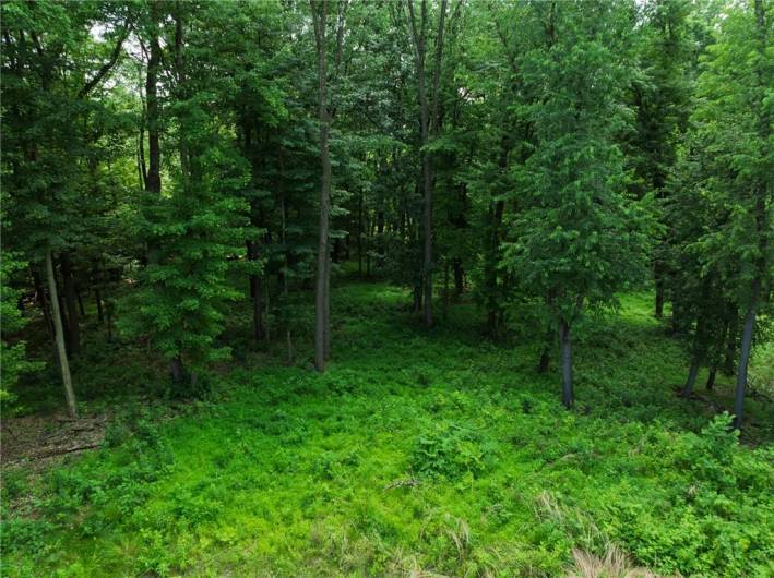 805 Mount Pleasant Rd, Mars, PA 16046, ,Farm-acreage-lot,For Sale,Mount Pleasant Rd,1711645