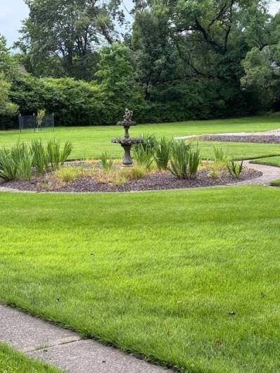 Rear yard
