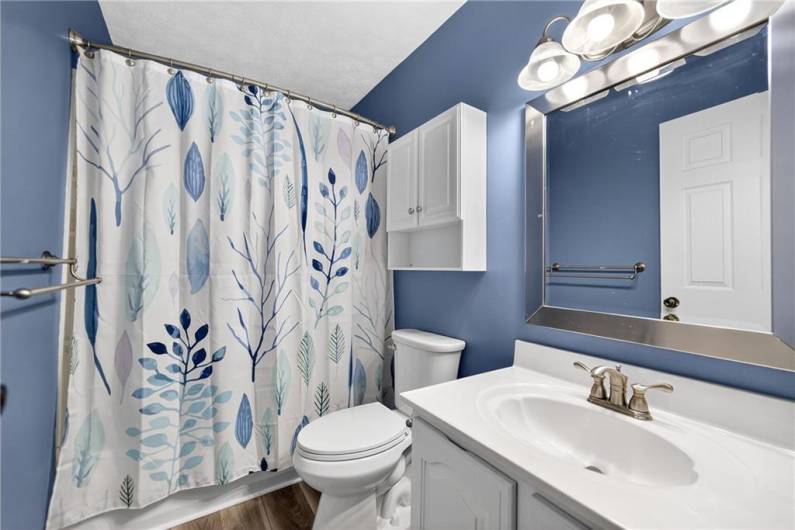 Here's the lovely hall bath with new LVP flooring, fixtures, and paint!
