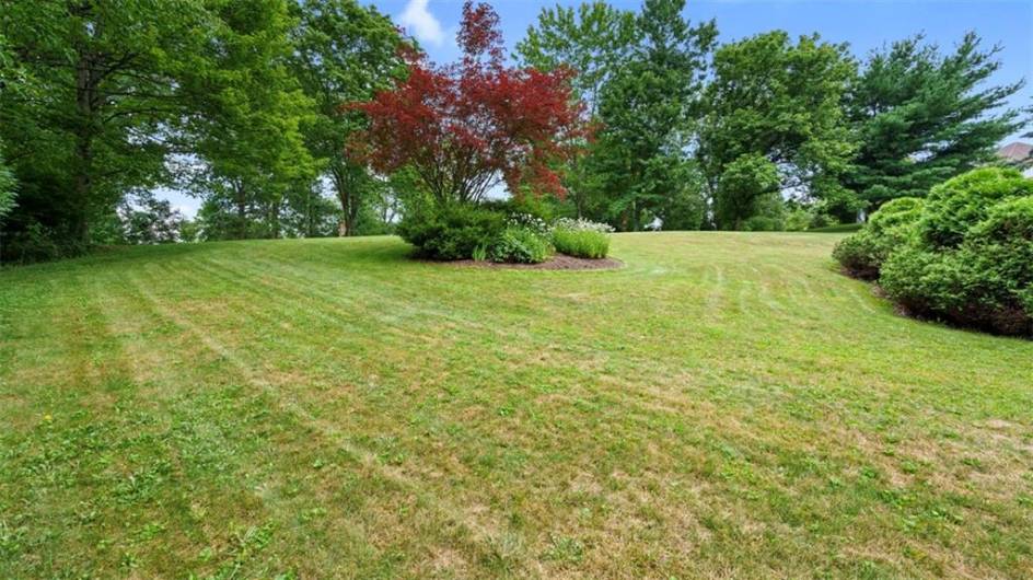 305 Jefferson St, Export, PA 15632, 5 Bedrooms Bedrooms, ,2.2 BathroomsBathrooms,Residential,For Sale,Jefferson St,0,1711679
