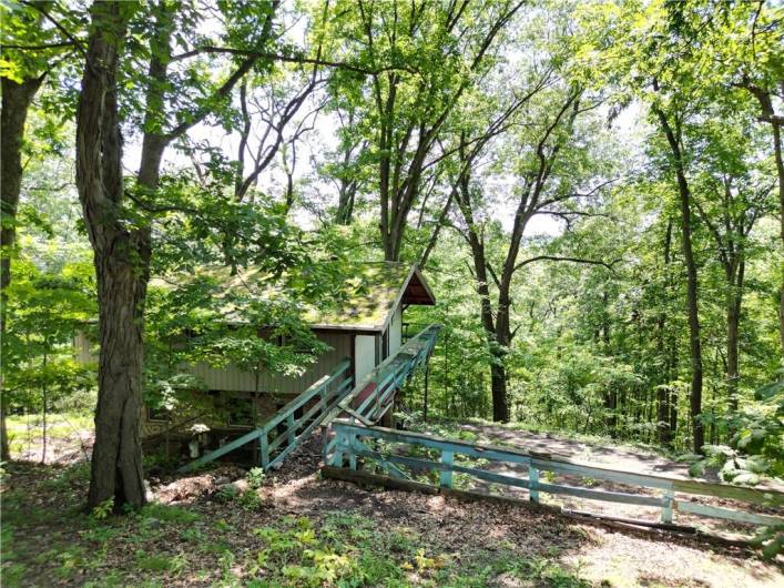 Unique Treehouse Chapel in Back Yard