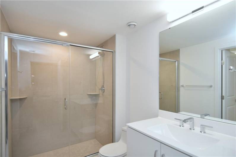 Lower level full bath