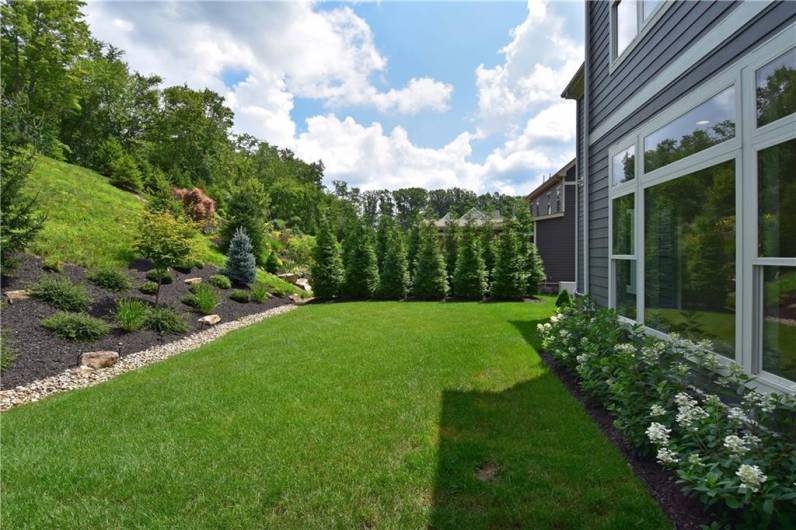 Level rear yard with mature landscaping.