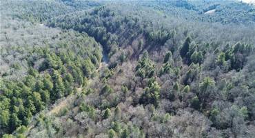 000 Laurel Road, Sligo, PA 16255, ,Farm-acreage-lot,For Sale,Laurel Road,1711759