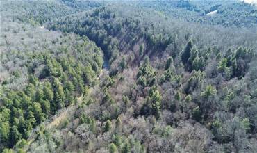 000 Laurel Road, Sligo, PA 16255, ,Farm-acreage-lot,For Sale,Laurel Road,1711759