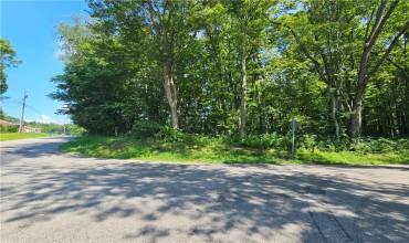 405 Overbrook Rd, Valencia, PA 16059, ,Farm-acreage-lot,For Sale,Overbrook Rd,1711792
