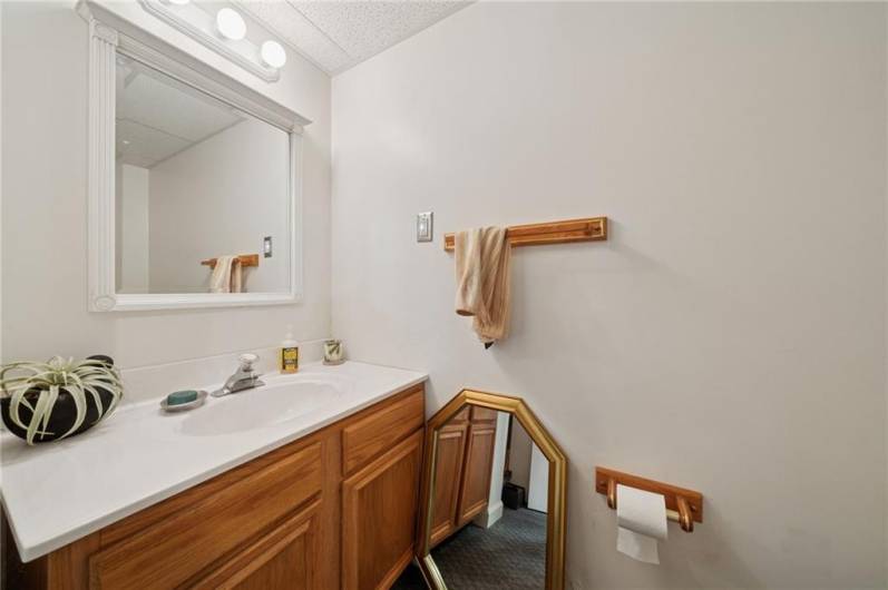 Basment bathroom