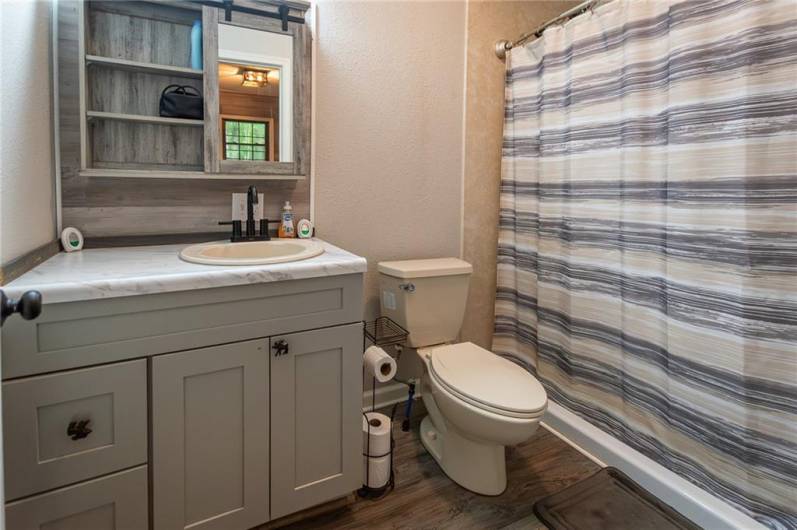 In Law Suite Bath
