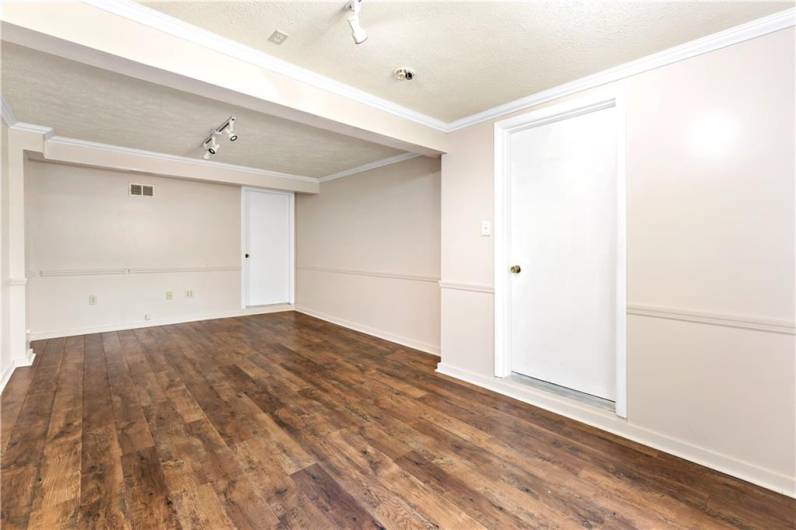 Lower Level Family/Bonus Room