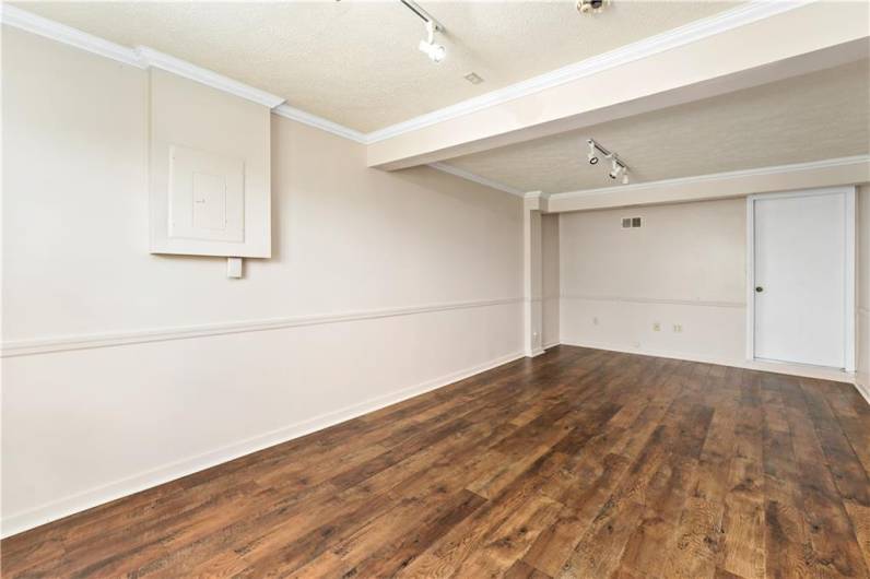 Lower Level Family/Bonus Room