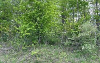 Lot 102 Lakewood Road, Greensburg, PA 15601, 0 , ,0,Farm-acreage-lot,For Sale,Lakewood Road,0,1711740