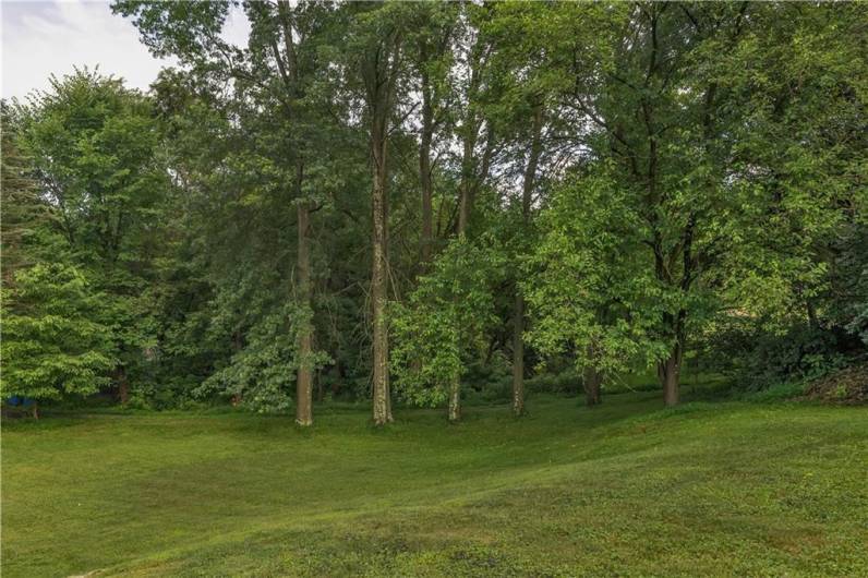 What a yard! Owner had the yard landscaped for easier maintenance. Very private with the tree line