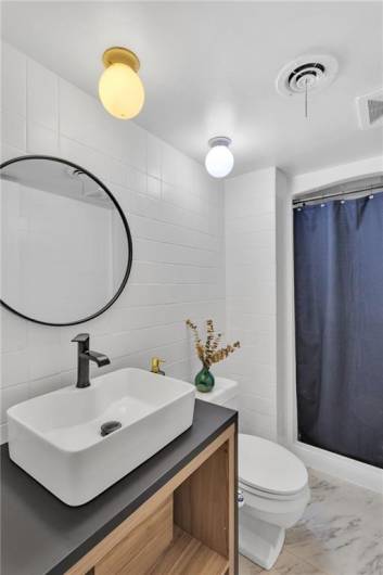 Lower Level Bathroom