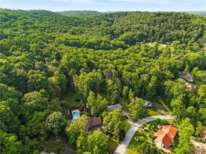 219 Forest Ridge Road, Indiana, PA 15701, 4 Bedrooms Bedrooms, ,3.2 BathroomsBathrooms,Residential,For Sale,Forest Ridge Road,0,1711854