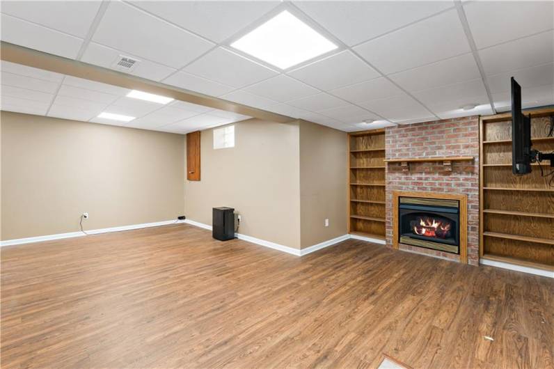 Finished Basement / Gameroom