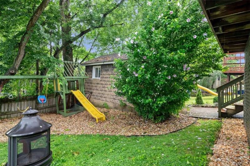 Backyard