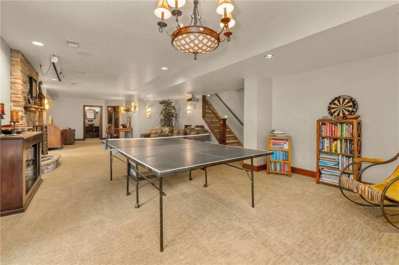 Room for playing, relaxing, working out, hiding....you name it!